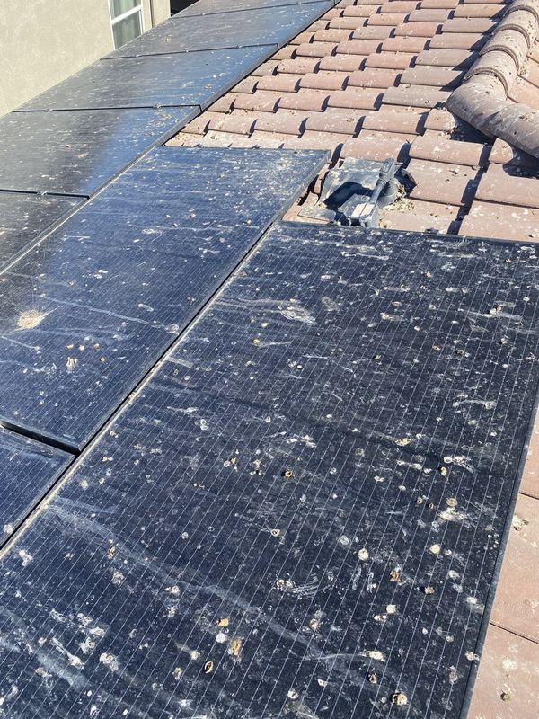 Solar panels heavily soiled with bird droppings and roof debris before cleaning